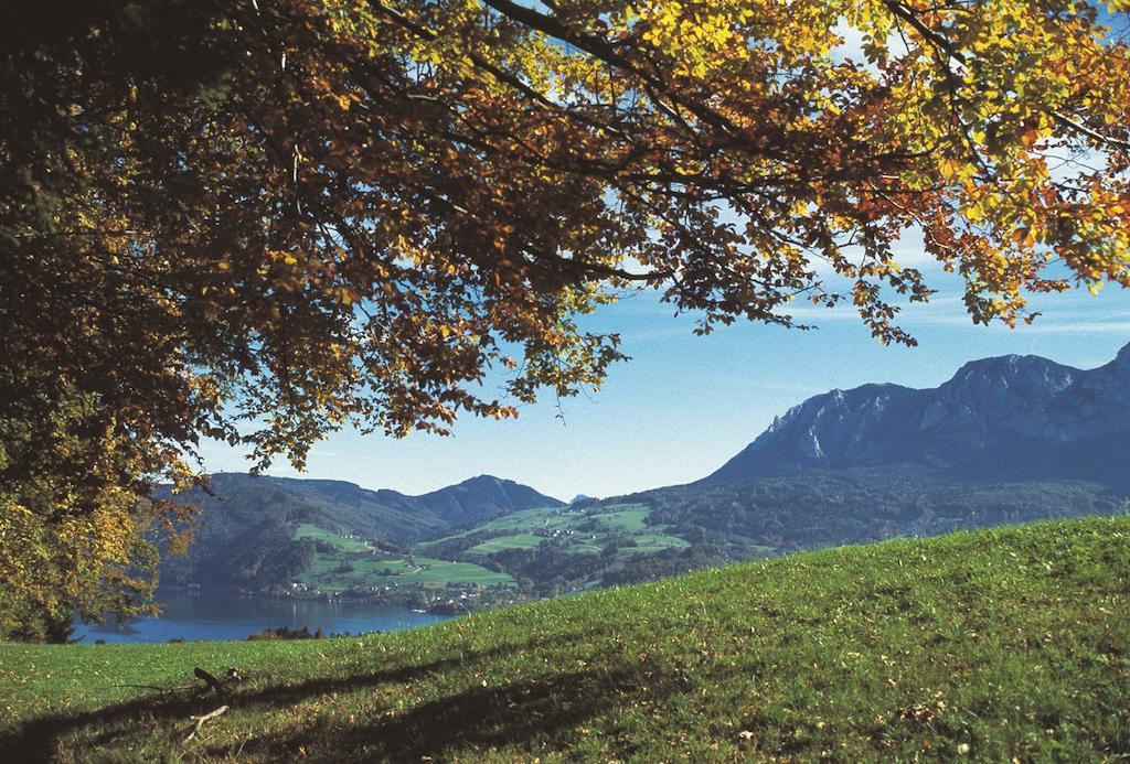 Hotel Haus Gruber Attersee Esterno foto